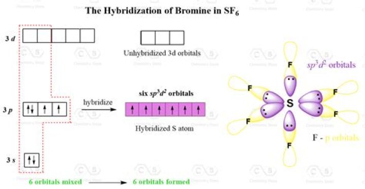 For which of the following hybridization the bond angle is maximum?