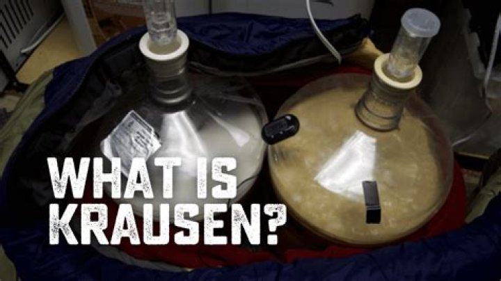 Where did the word krausen come from?