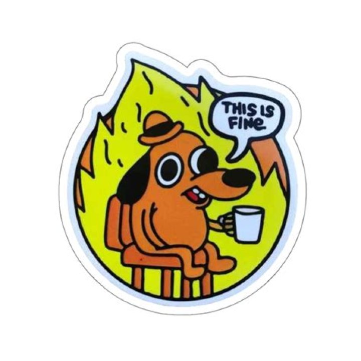 Where is the this is fine dog from?