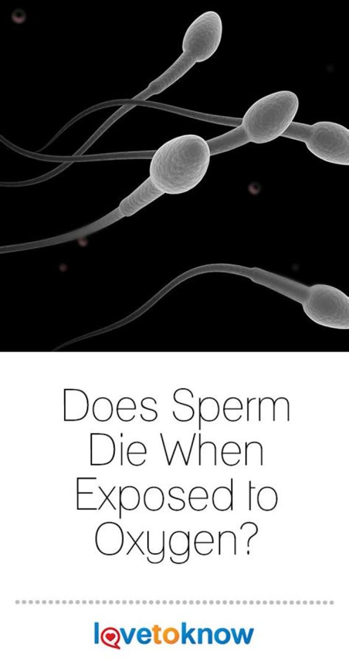 Will sperm die when it hits oxygen?